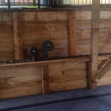 Edgehill - Semi Self-Contained Eco Friendly Home タウランガ エクステリア 写真